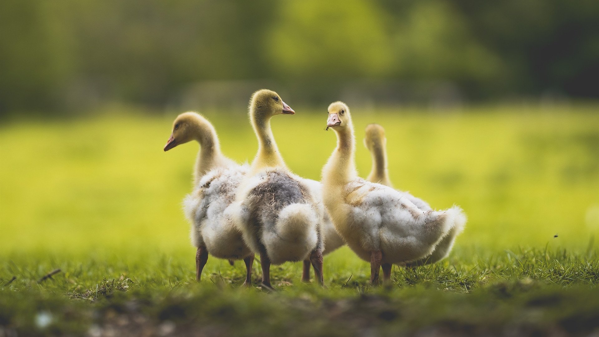 开云首页登录-出发滑行段速度数据分析，滑行速度公式