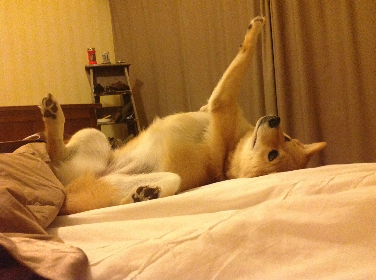 尼斯控球能力修炼提升比赛节奏把握,尼斯edhec