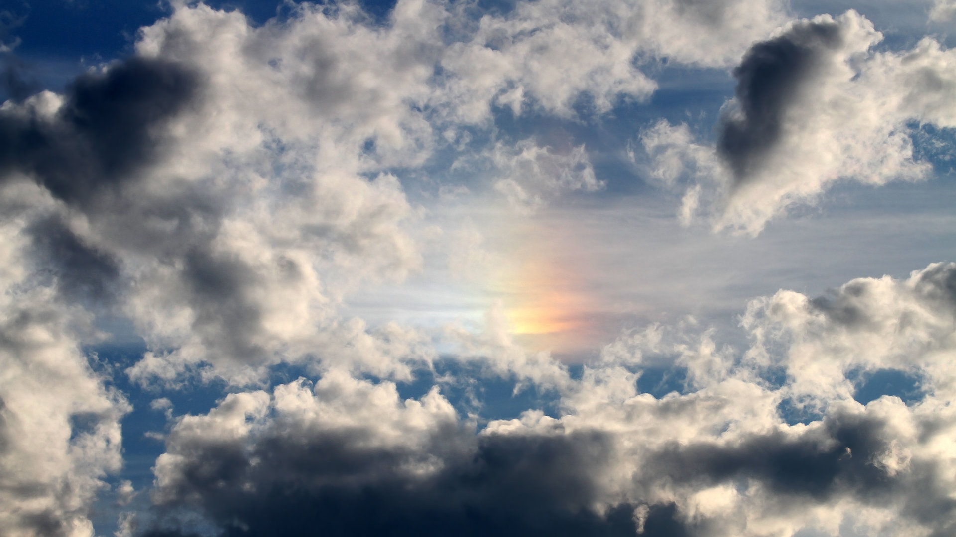 开云集团中国官网-广东队逐步恢复健康阵容整体实力显著增强，广东队好消息