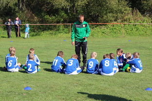 开yun体育-南非混合泳团队战术引热议，南非的混合农业