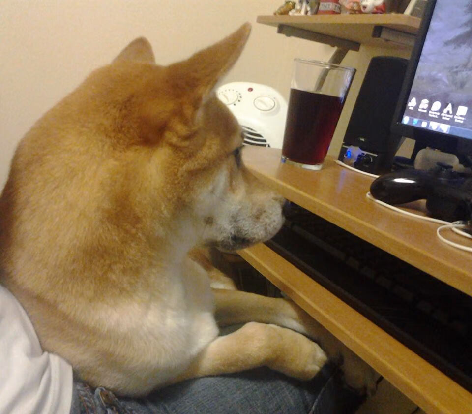 开云体育官方网站-多位球员赛后主动加练展现积极态度争取赢得更多上场机会，现场赛使用加成球员打入5球