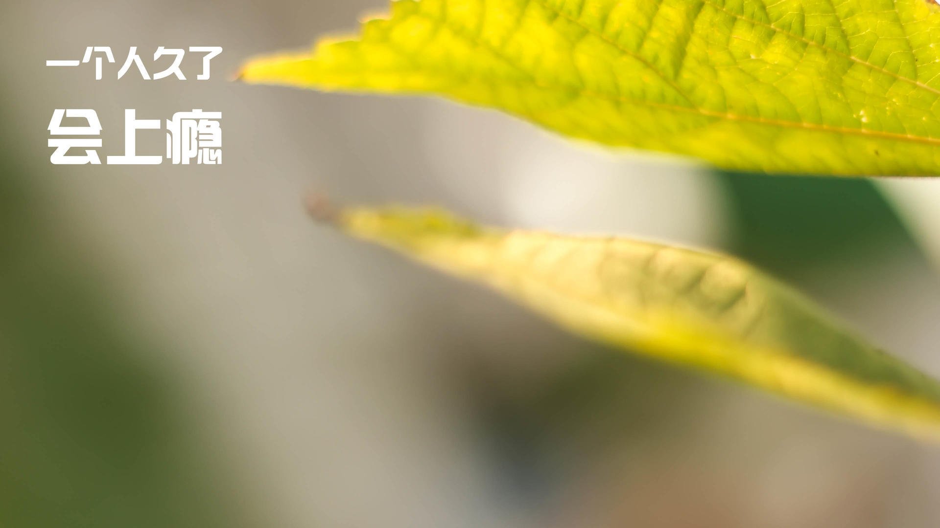 开云 官网 入口-帕金斯成功晋级为未来蓄势，帕金斯有冠军吗